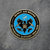 Eagle Flight Det Challenge Coin